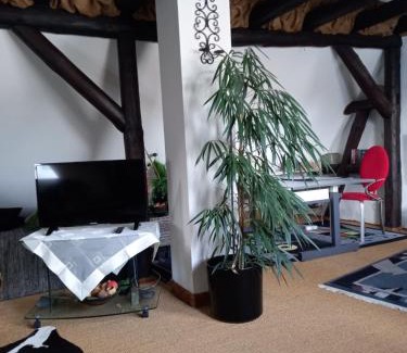Brandau Apartment | Loft Ziegelei