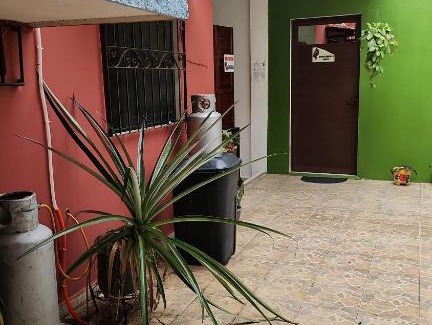 Palenque Apartment | LoftJaguar