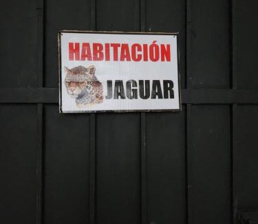 Palenque Apartment | LoftJaguar