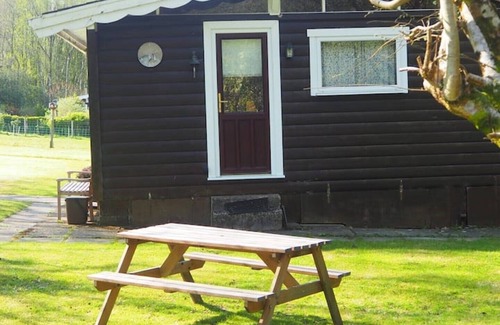 Dinas Mawddwy Cabin | Log cabin in stunning southern Snowdonia woodland.