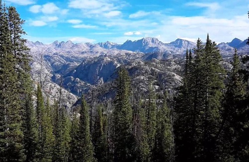 Pinedale Cabin | Log cabin in the National Forest, near ski lift! Full restaurant/bar on site.