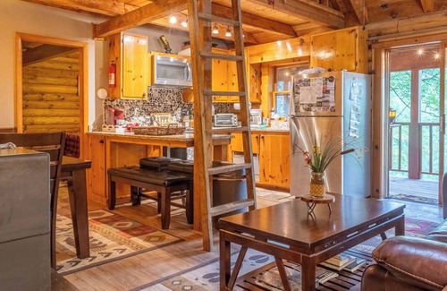 Mill Ridge Cabin | Log Cabin - mtn. view, 3 decks, fire pit, bunk room, pool and pet friendly