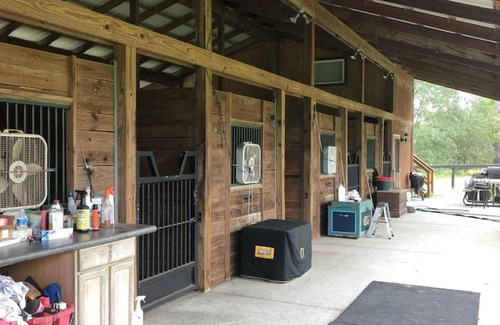 Morriston Cabin | Log cabin on a lush 15 acre private horse farm