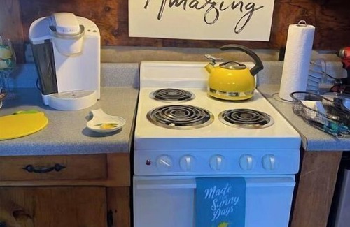 Winston - Salem House | Log Cabin on Main St. In the ❤️ of Winston Salem. Sleeps 4 comfortably.