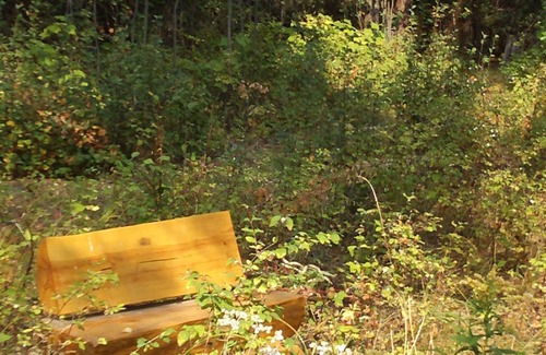 Garden Valley Cabin | Log Cabin on the Famous South Fork Payette Whitewater River