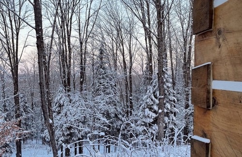 Haliburton Cabin | Log cabin on the hill