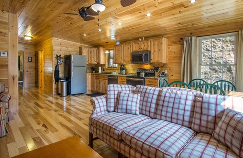 Pisgah Forest House | Log Cabin Streamside with fire-pit 5 mins to the HUB