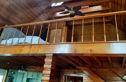 Elkton Other | Log cabin style dupex on 155 acres wooded farm land
