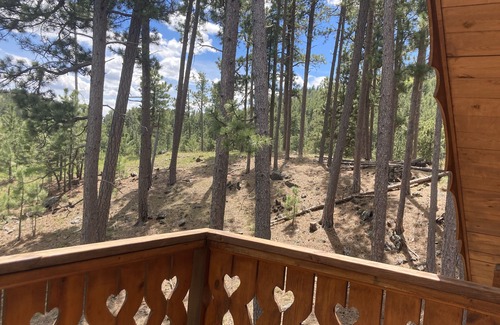 Rapid City Cabin | Log cabin nestled in ponderosa pine - 5 mi between Pactola and Sheridan Lakes
