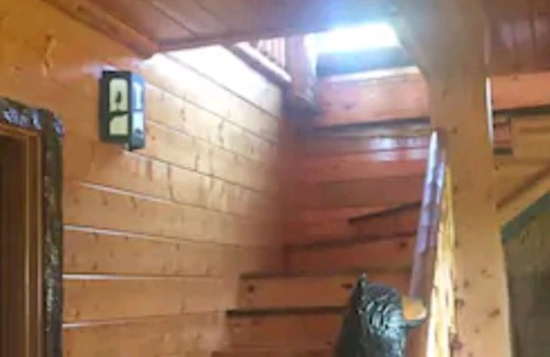 Yellville House | LOG HOME CANINE RETREAT