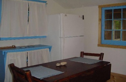 Gaylord House | Log Home On Wequas Lake, snowmobile trails & parking, near skiing, dog-friendly