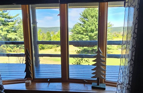 Millerton House | Log Home w/Mtn & Lake View- Central Air, Fiber Internet, Covered Porch, Firepit
