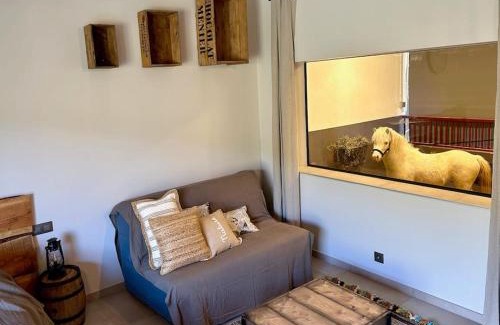 Bargemon Apartment | Logement atypique - Chevaux Miniatures Rhéa Horses