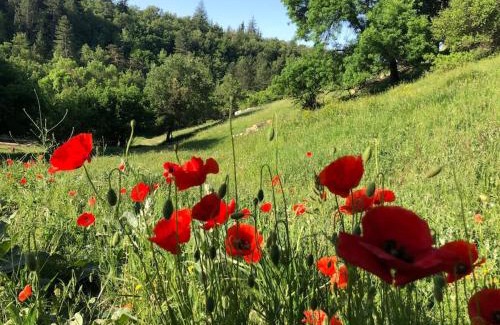 Saignon Apartment | Logement calme avec vue sur le Luberon