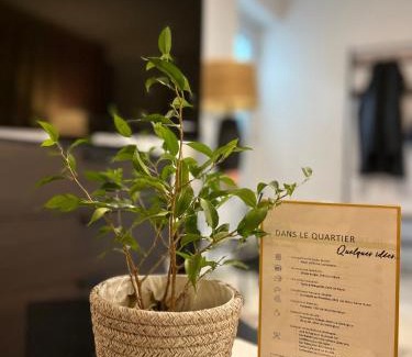 Cote-Saint-Paul Apartment | Logement complet, proche métro, parking gratuit