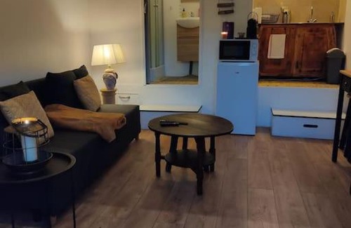 Mezieres-sur-Seine Apartment | logement Mezzanine salon indépendant