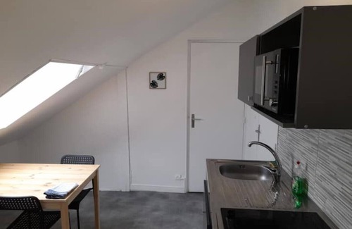 Reims Apartment | LOGEMENT VERT, Whole house: apartment