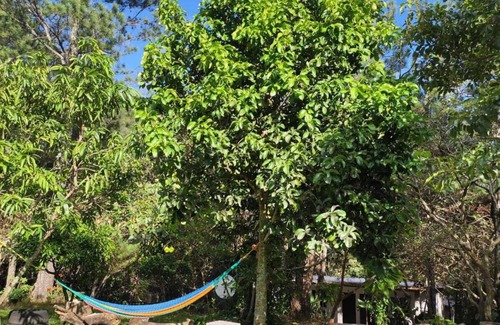 La Palma Cabin | Loma Larga Country House