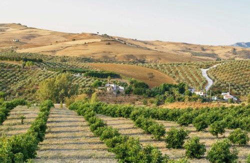 Casarabonela House | Loma Méndez Casa 2