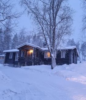 Muurame Apartment | Lomariihi 6
