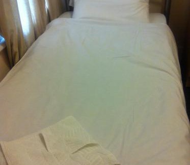 Stratford and New Town Hotel | London Olympus Hotel