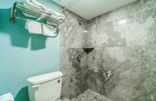 Harlingen Hotel | Lone Star Inn & Suites by OYO Harlingen TX