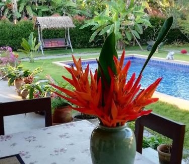Khua Mung Bed & Breakfast | Longan Tree