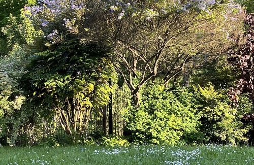 Saint-Ay House | Longère-Bed & Breakfast-Sur la Route des Châteaux-Private access to the banks of the Loire River