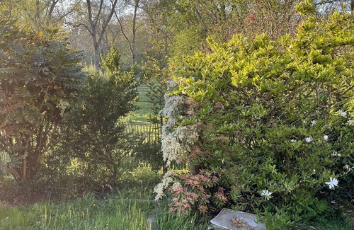 Saint-Ay House | Longère-Bed & Breakfast-Sur la Route des Châteaux-Private access to the banks of the Loire River