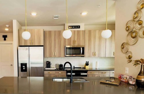 McNeil Apartment | Longhorn-Themed 2BR | Near UT & Q2 Stadium