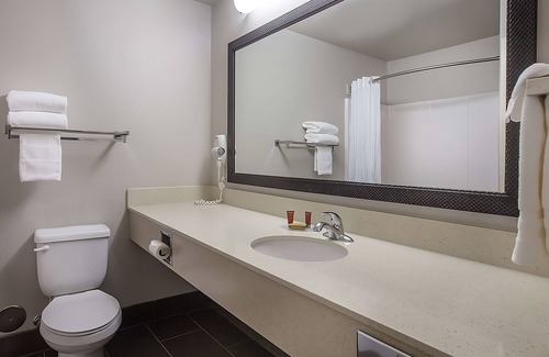 Pullman Hotel | Looking for Perfect Getaway Location? Spacious Room w/King Bed, Free Breakfast