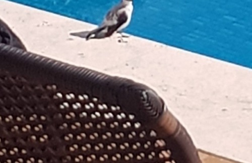 Santa Cruz Cabralia House | Lookout Ai Que Lindo View Park APT1