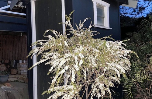Pretty Beach Cabin | Lookout Lodge at Pretty Beach Heath Lodgers