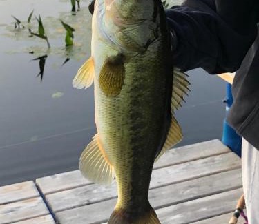 Lake Tomahawk House | Loon Landing in Lake Tomahawk WI