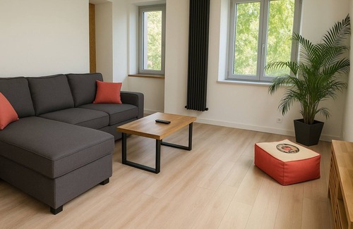 Loos Apartment | Loos duplex with darts & sofa bed near Lille