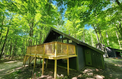 Elmira Cabin | Loose Moose Lodge - Lakes of the North