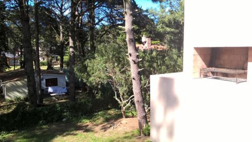 Valeria del Mar Cabin | Los Amigos del Pinar