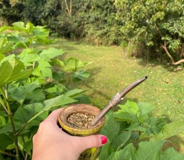 Zona Granja Cabin | Los Bananos - Tiny Wood Cabin