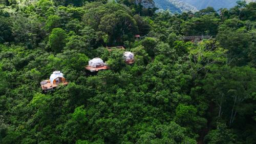 Tarapoto Resort | Los Glampings De Taytamaki
