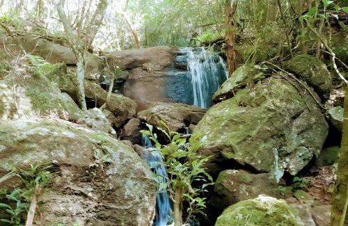 Obera Resort | Los Lapachos. La naturaleza es acá