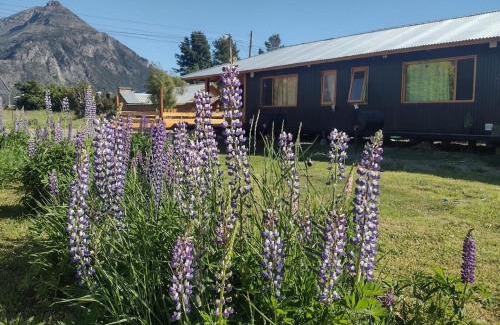 El Hoyo House | Los Lupinos