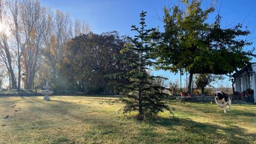 Viveros House | Los Manantiales Casa Rural