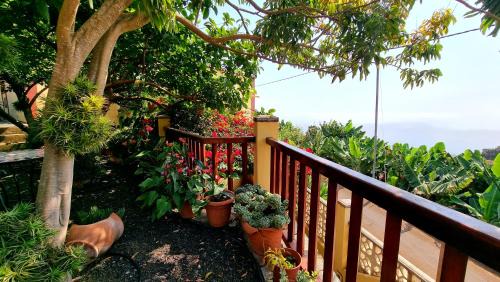 Los Sauces House | Los Nacientes: Cordero