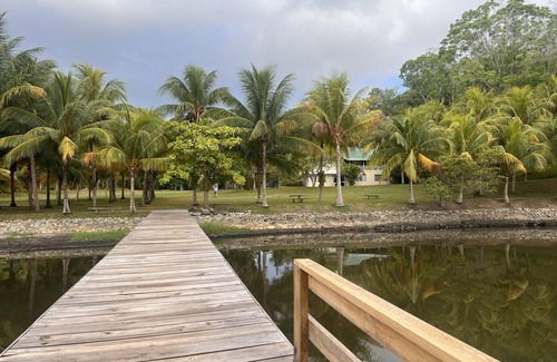 Atlantida Cabin | Los Olingos Lodge - Bird Paradise