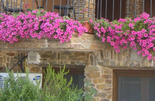 Carenas Cottage | LOS PEDREGALES RURAL HOUSE FOR 2-4 PEOPLE. LA ATALAYA APARTMENT