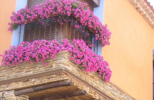 Carenas Cottage | LOS PEDREGALES RURAL HOUSE FOR 2-4 PEOPLE. LA ATALAYA APARTMENT
