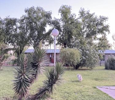 Puelen Department Apartment | Los Perales