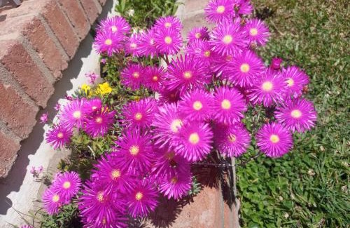 Cosquin House | Los Pinos B&B - Habitación en casa de familia