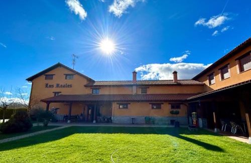Carrizo De La Ribera Hotel | Los Reales
