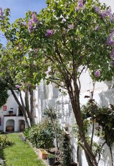 Buendia House | LOS SUEÑOS DE BUENDÍA